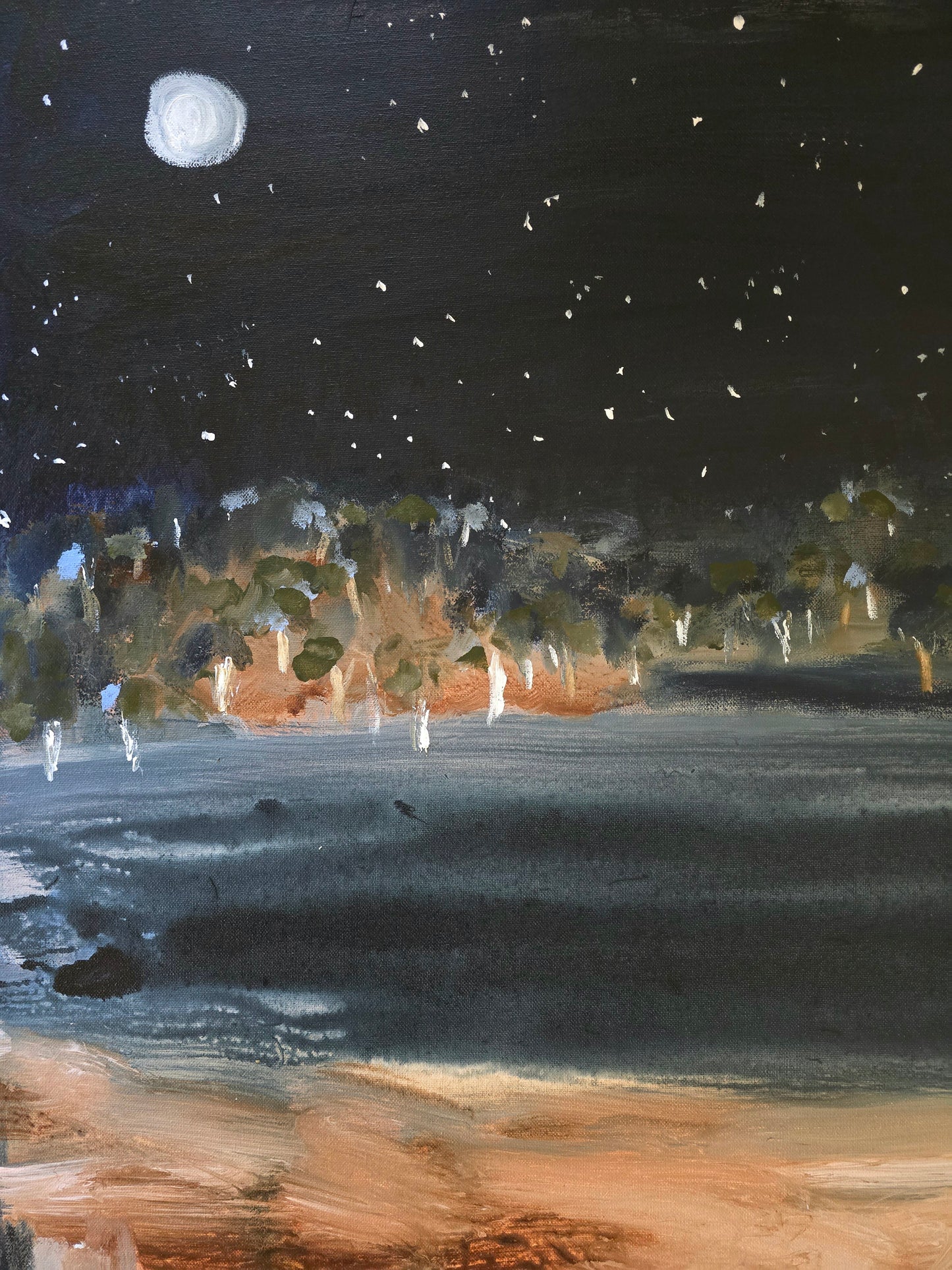 'Midnight swim' original