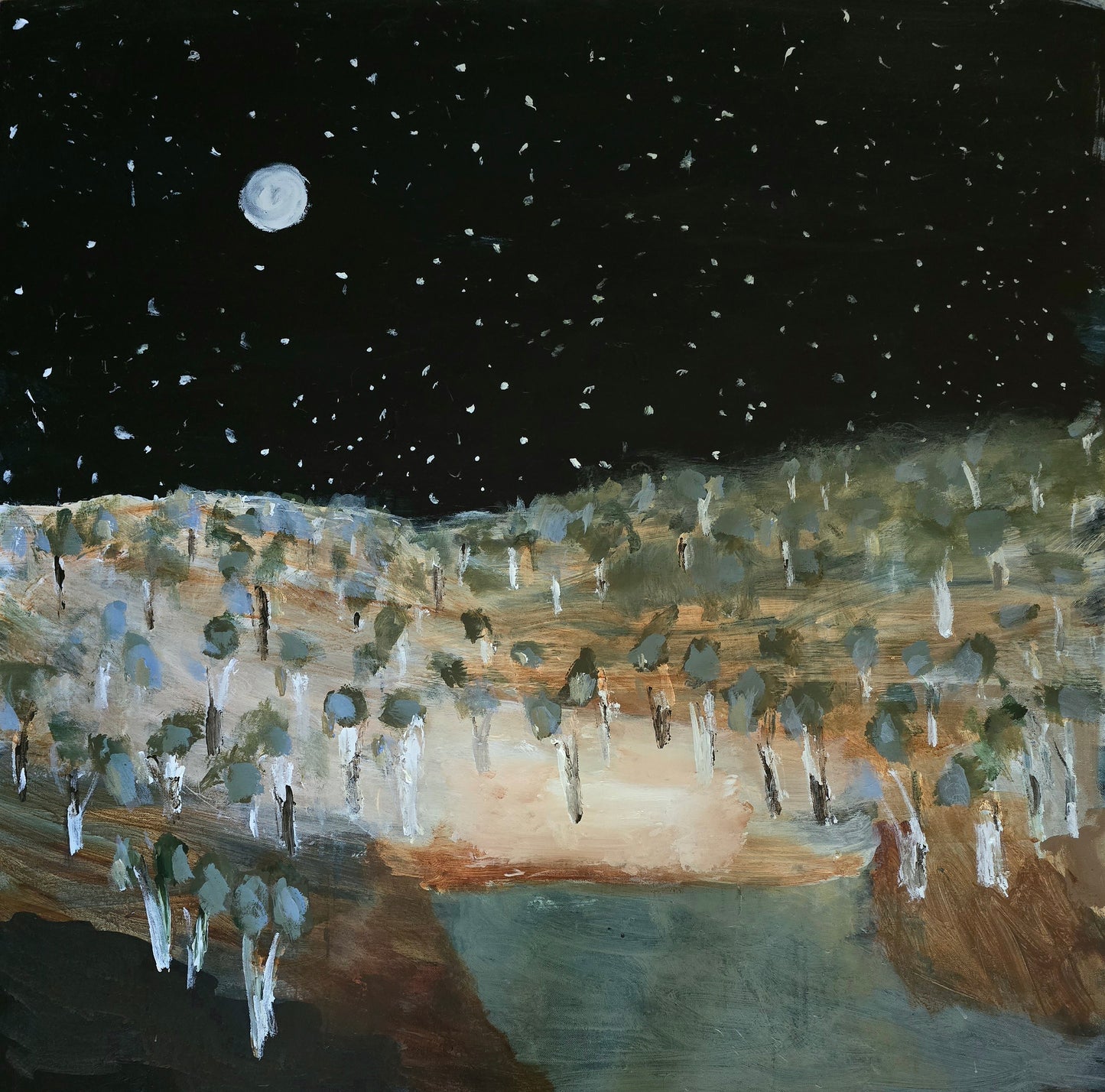 'The Cove by Moon Dance'