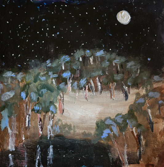 'On a sleepless night'