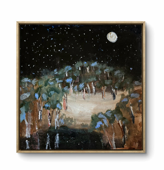 'On a sleepless night'